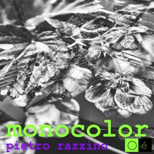 copertina Monocolor